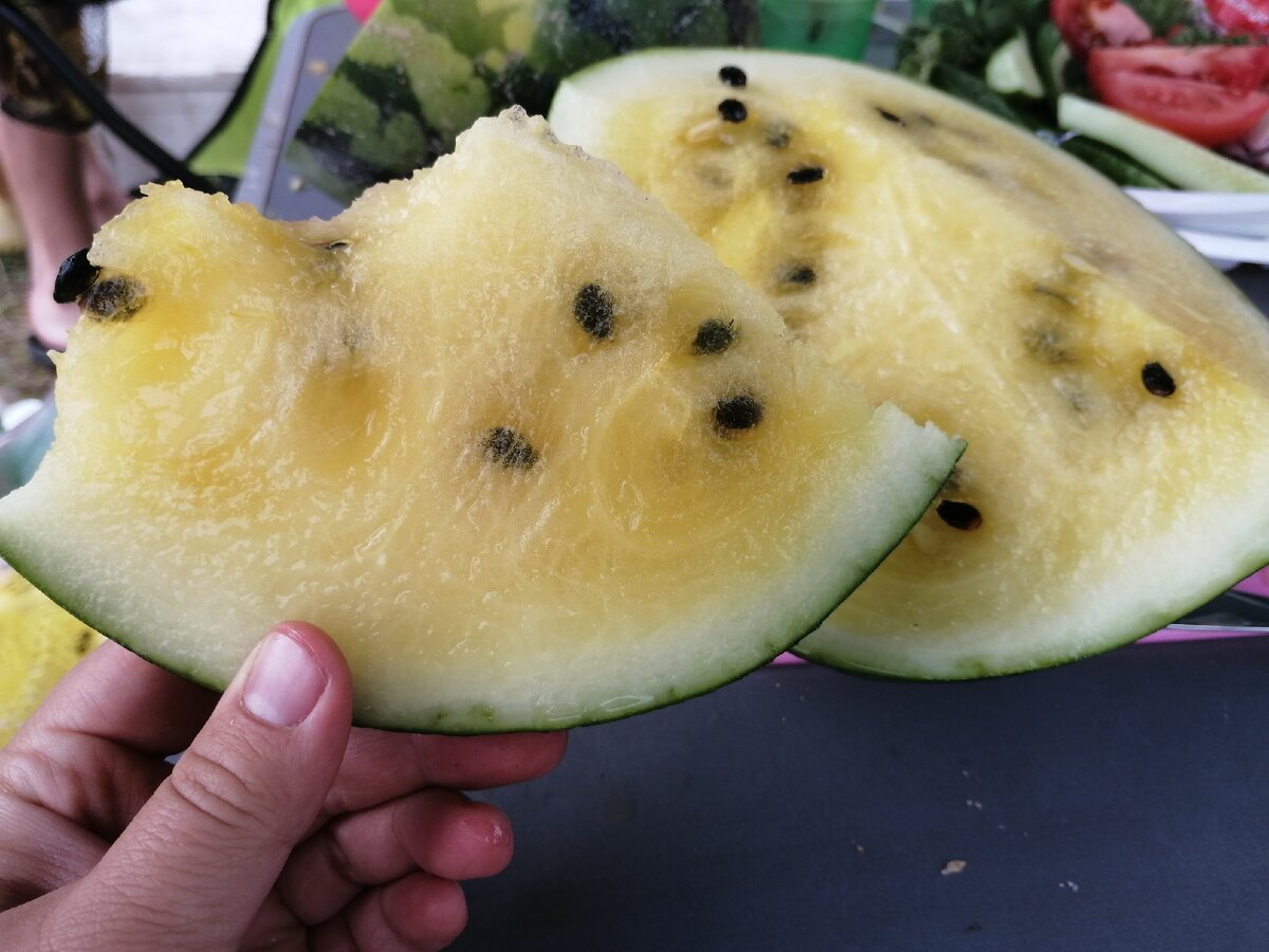 Подписка и "палец вверх" - это лучшая награда для меня и огромная помощь для развития канала. Спасибо за вашу поддержку:)