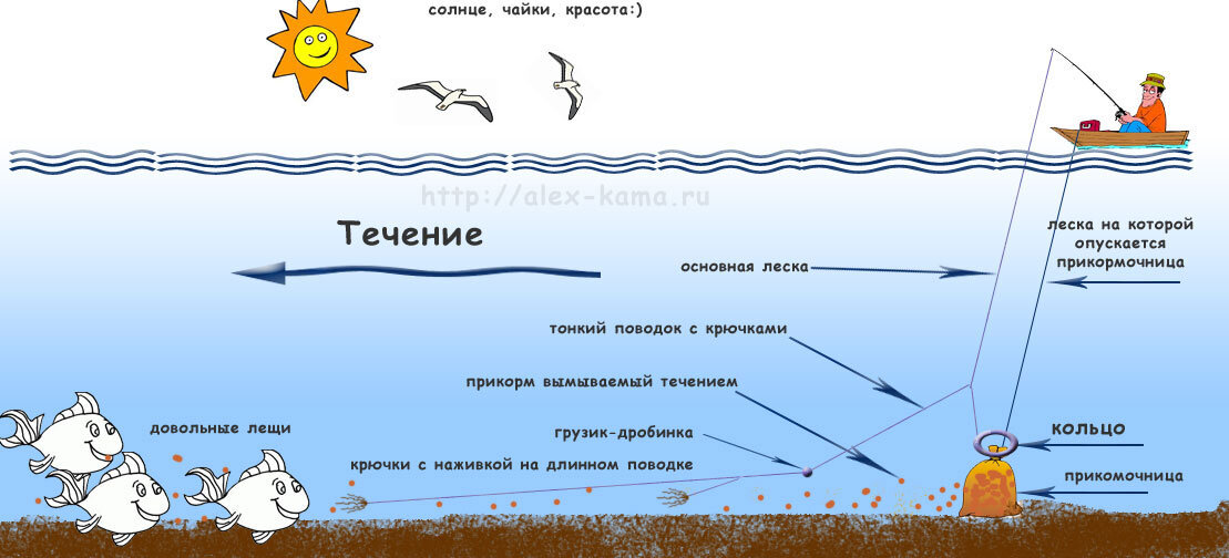 Все о рыбалке на кольцо