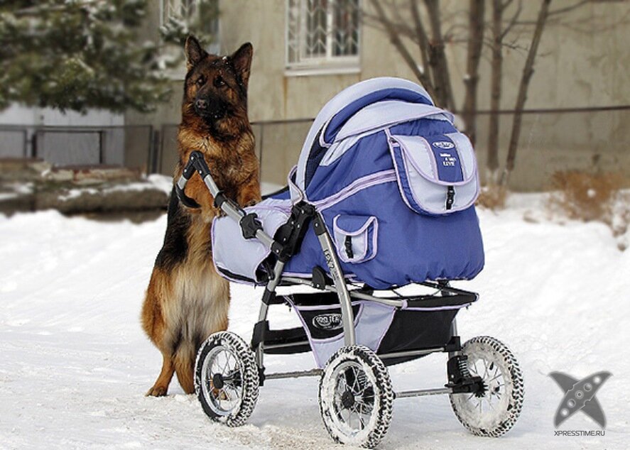 Фото Яндекс.картинки