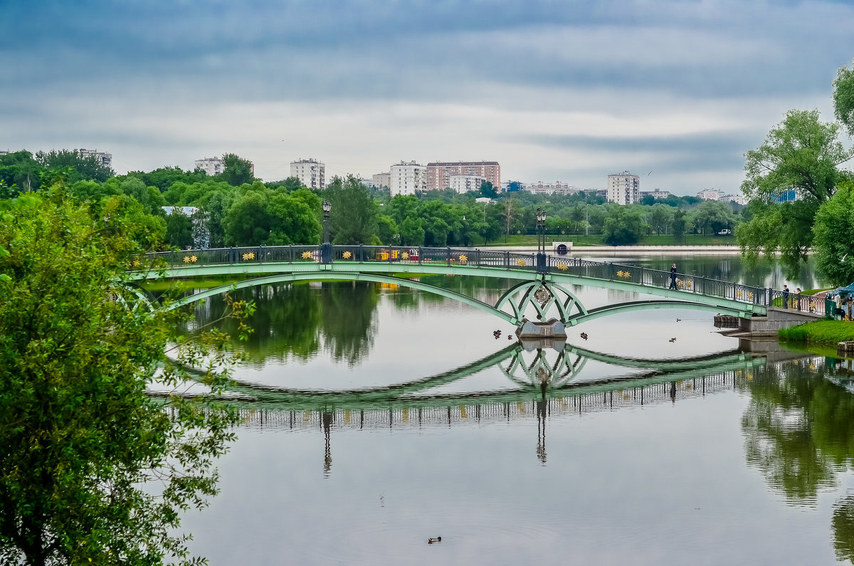 Почему пруд. Средний Царицынский пруд. Царицыно Нижний пруд. Царицыно музей-заповедник пруд. Царицынские пруды Царицыно.