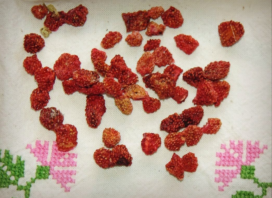 сушеная лесная земляника