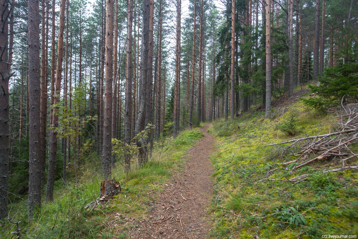 Кенозерский национальный парк, Архангельская область. Фото автора статьи 