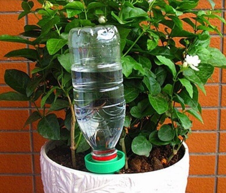 Фото с открытого сайта: hoznauka.ru