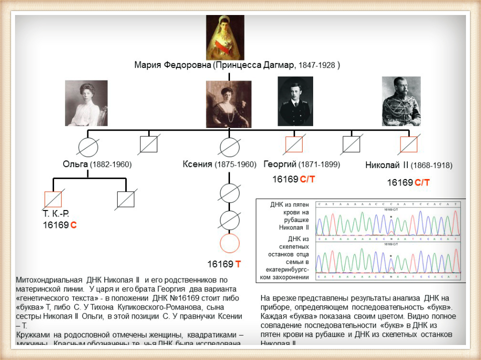 Родственники по материнской линии. Генетическая экспертиза останков царской семьи.