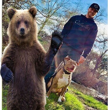 Медведь само собой не тот. 