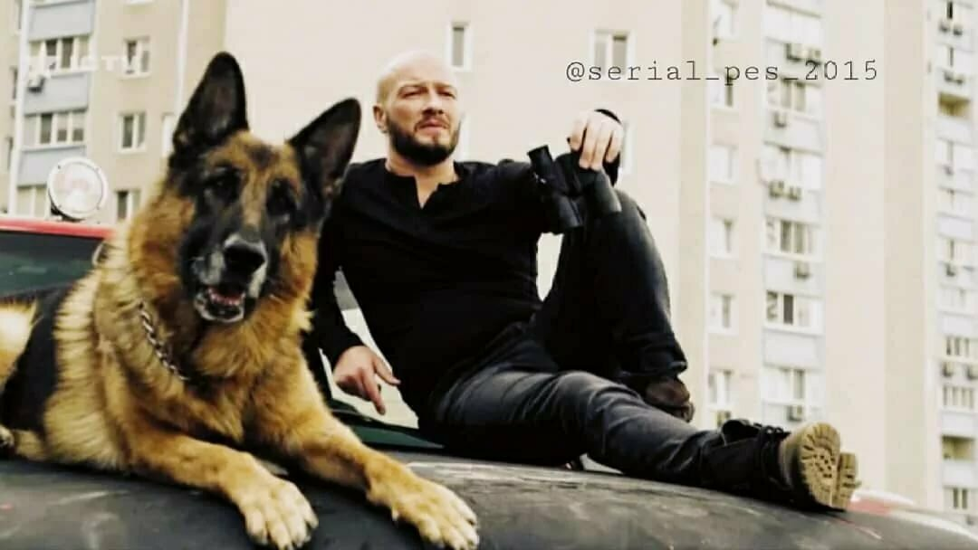 Яндекс картинки