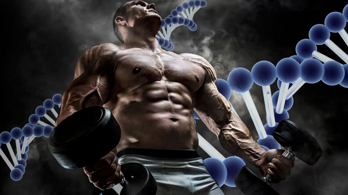 Workout Mass