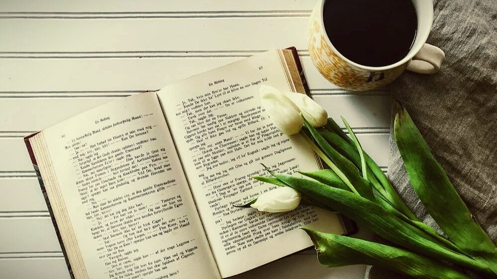 фото из интернета 