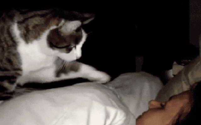 Источник: lovinmypup