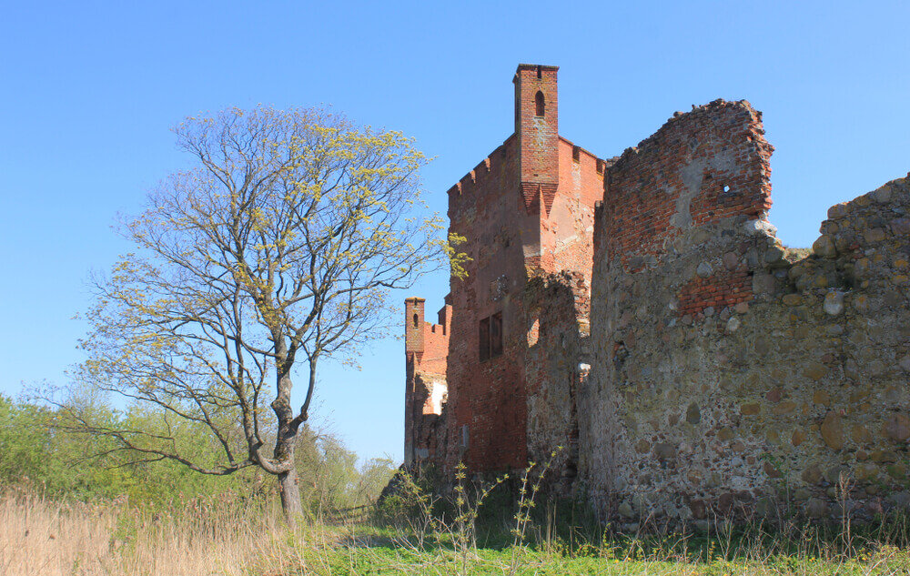 Фото: shutterstock.com