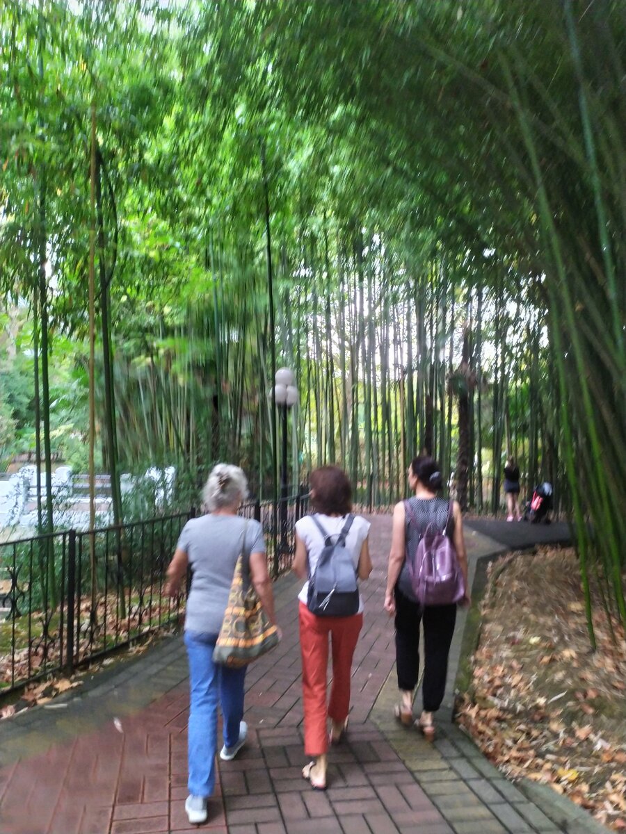 Женщины на фото, возможно, очень разные, но все-таки они гуляют вместе)