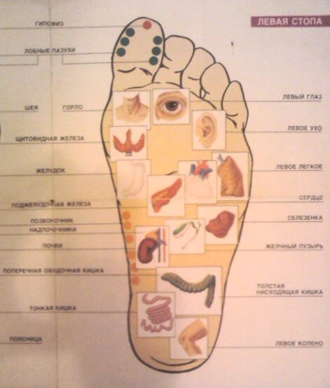 Схема областей и точек надавливания на левой стопе.