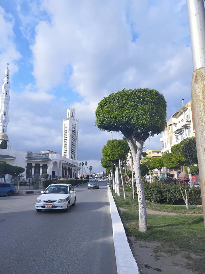 Порт- Саид 2021 год