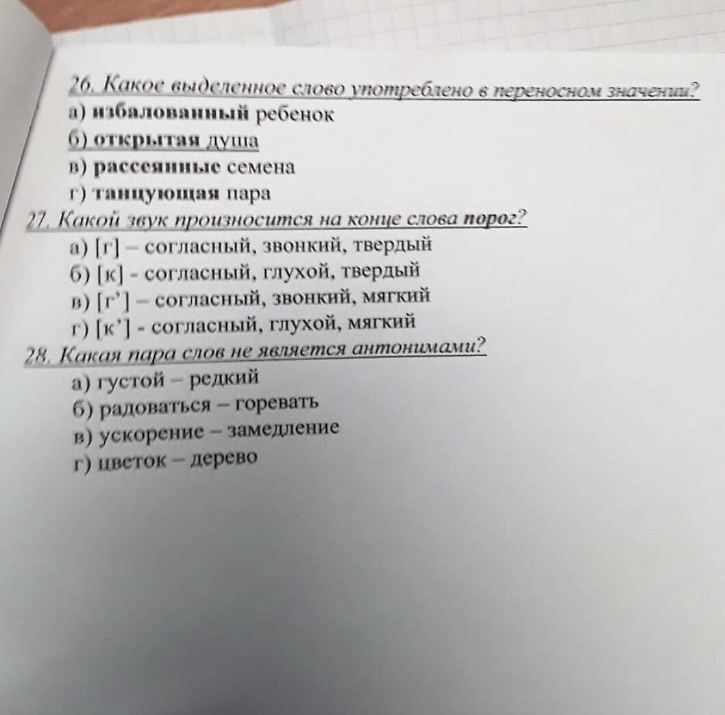 Экзамен по русскому языку в колледже на 1 курсе. Сложно ли сдать ЕГЭ по  нему, прошу мнений опытных | Блогерша с детьми и кошкой. | Дзен