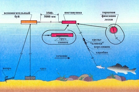 фото с сайта https://www.udim.ru/