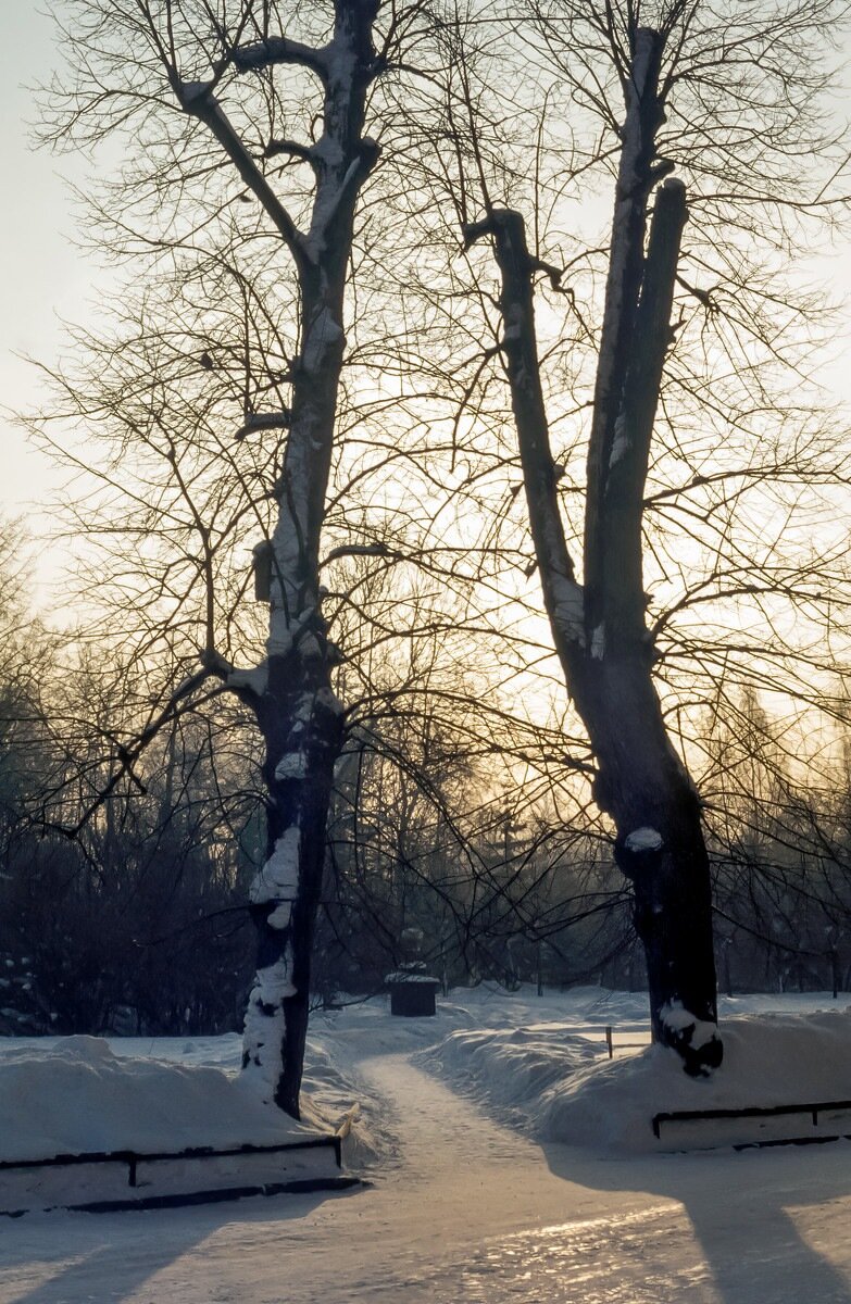 Зима 1976. Зима в питере сейчас фото. фото спб зима 202о.