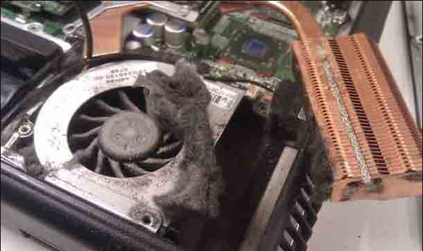 Грязь и пыль в радиаторе