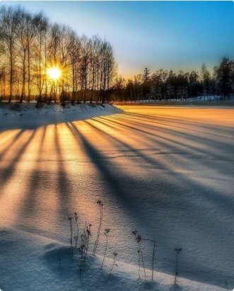 волшебница зима