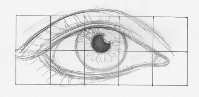 Глаз имеет сложное строение, и во время рисования каждого элемента необходимо учитывать массу нюансов:
Используя разметку, нарисуйте карандашом очертания глаза.