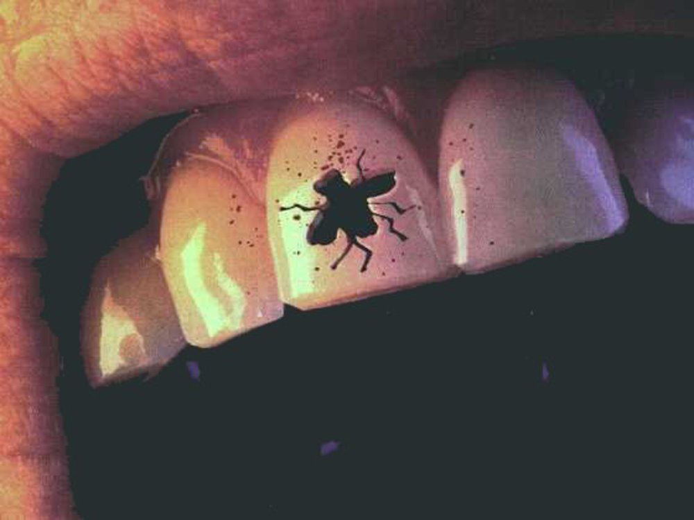 Муха в рот попала... Иллюстрация из открытых источников