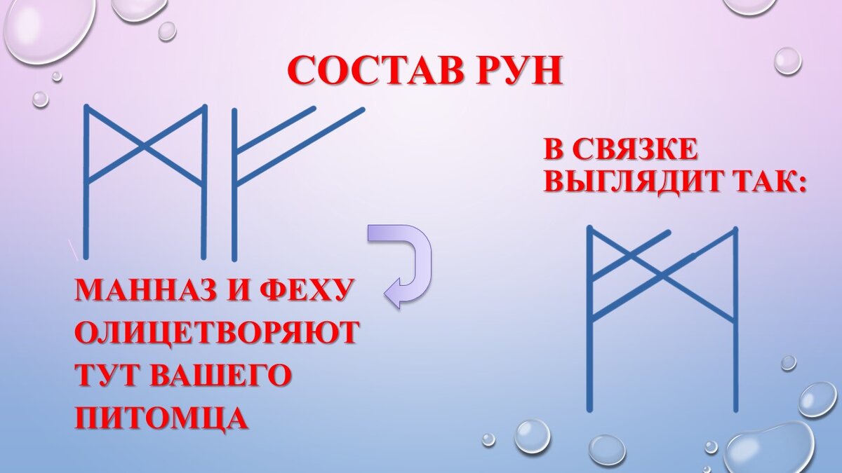 Нужна ли чистка и защита нашим домашним питомцам? | Карина Таро | Дзен