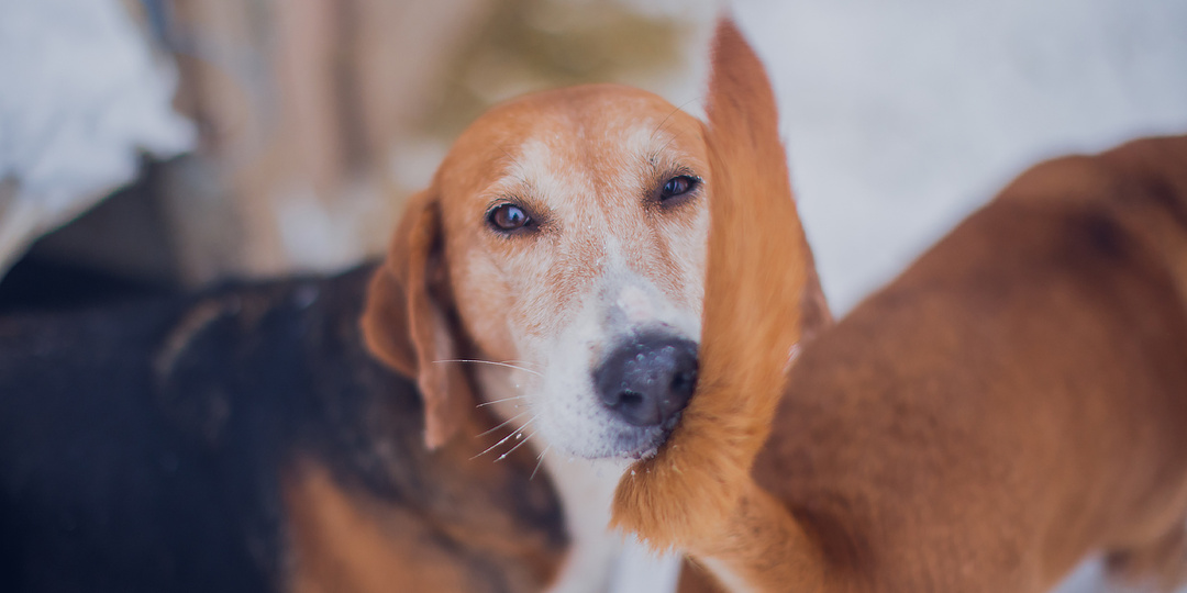 Эй, как вы там в феврале?