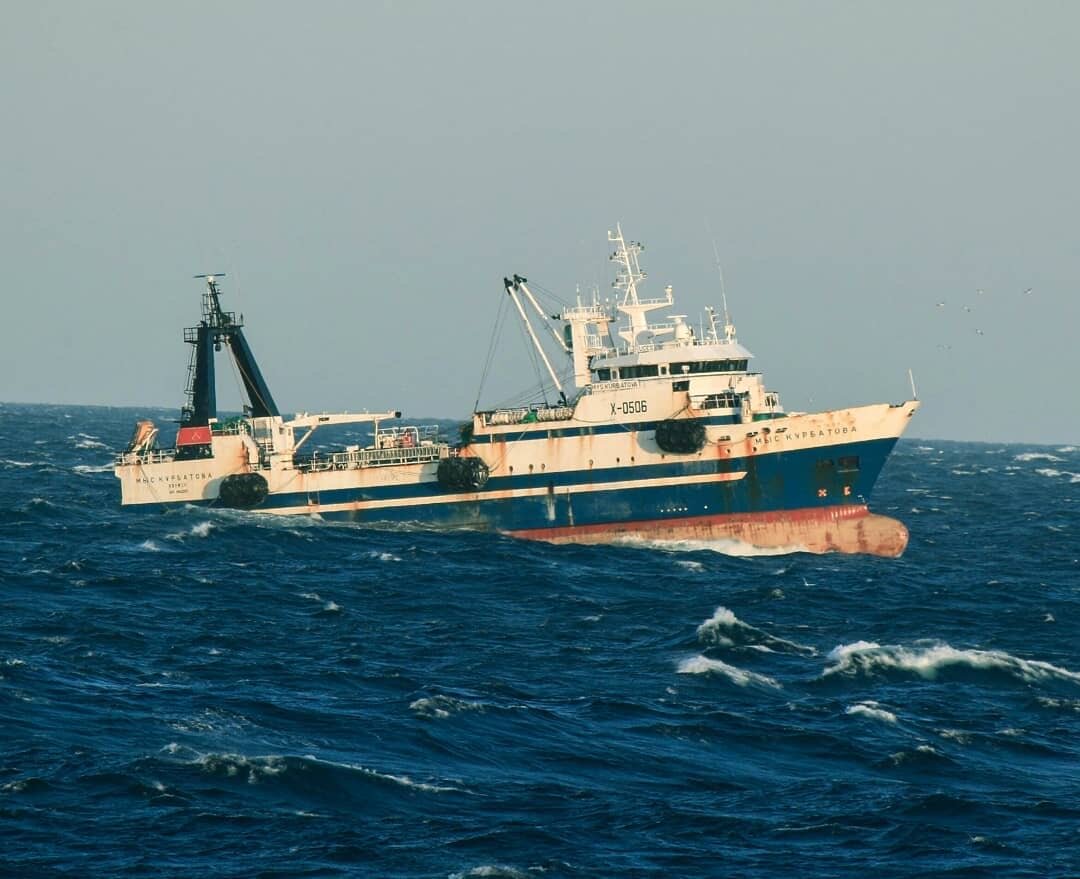 Фото: Instagram @dmitry_kam41