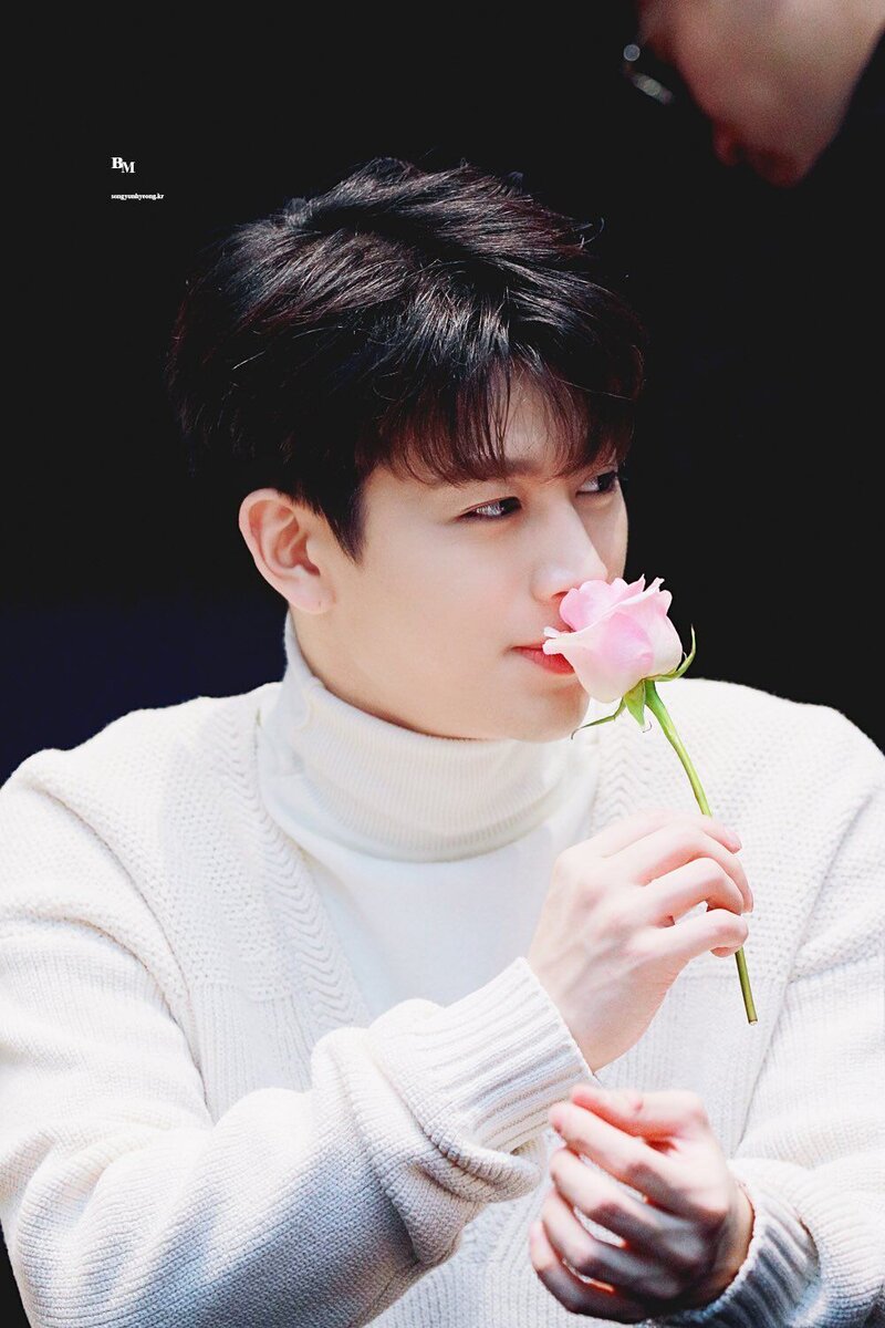 Яндекс картинки 