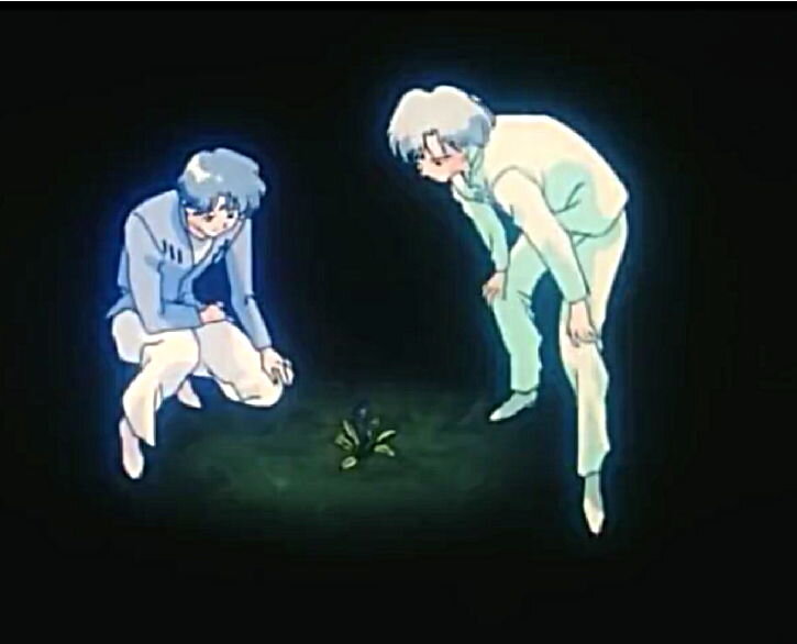 Братья любовались таким редким явлением на Немезисе как цветы.