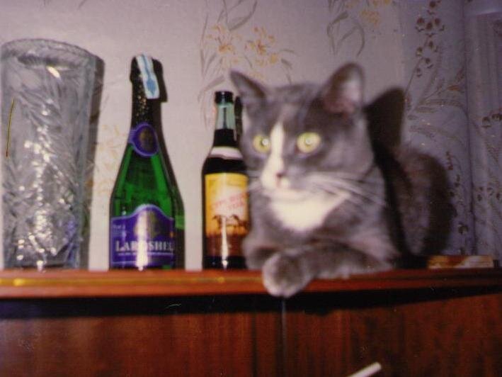 Тимоха ( фото из личного архива)