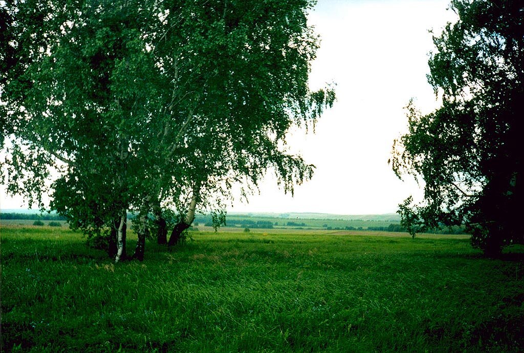 Пейзаж вдоль дороги. Вот они, просторы России!