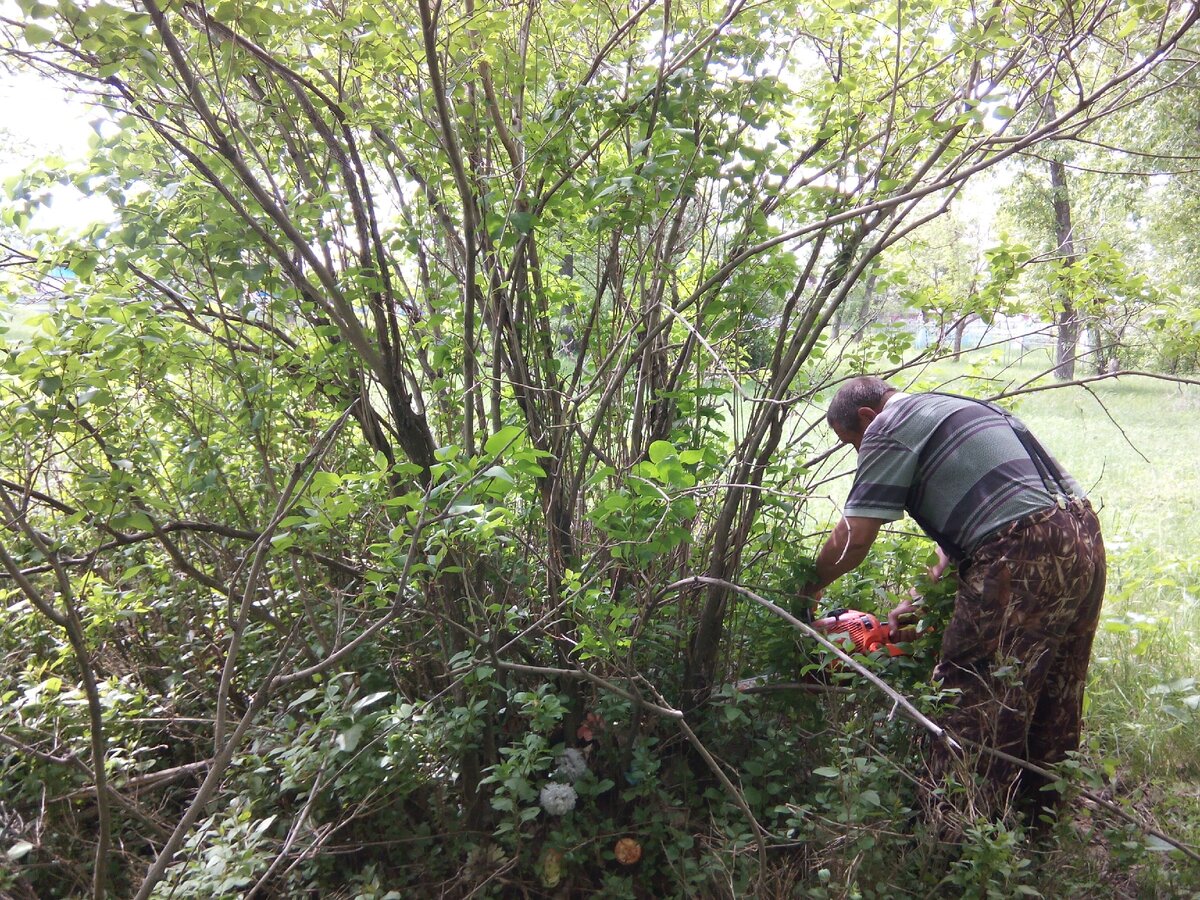 Вот как выглядело место захоронения.