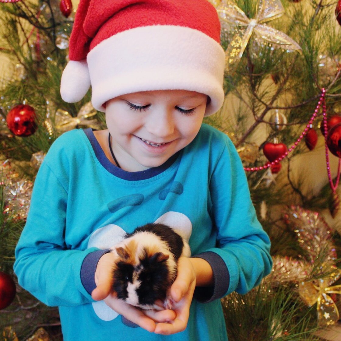 Новогодний подарок 