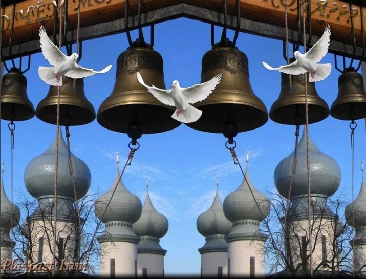 фото с сайта: https://stihi.ru