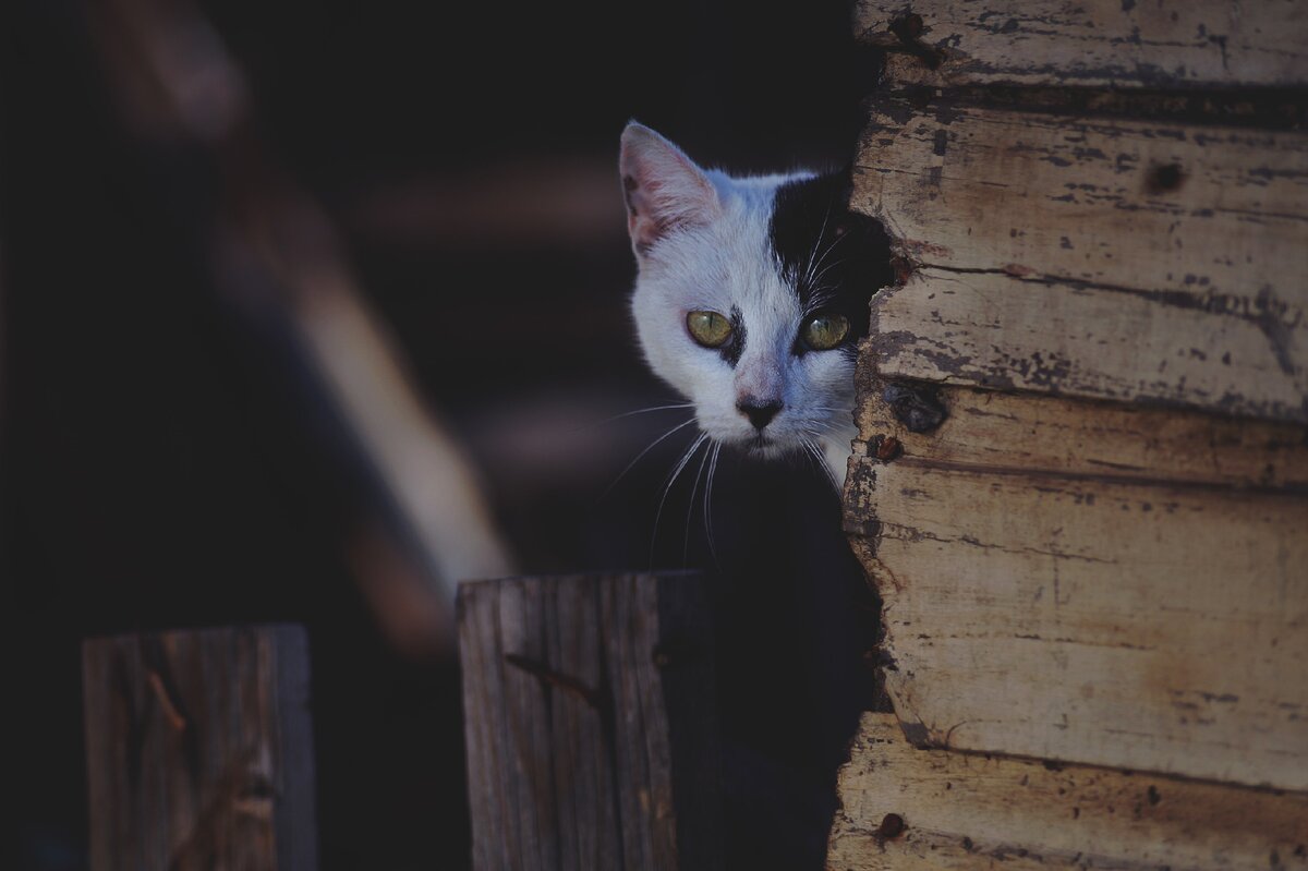 Photo by Sebastian Molina on Unsplash   