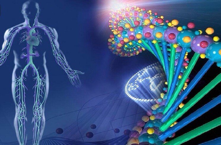 Коллаж из интернета в свободном доступе.