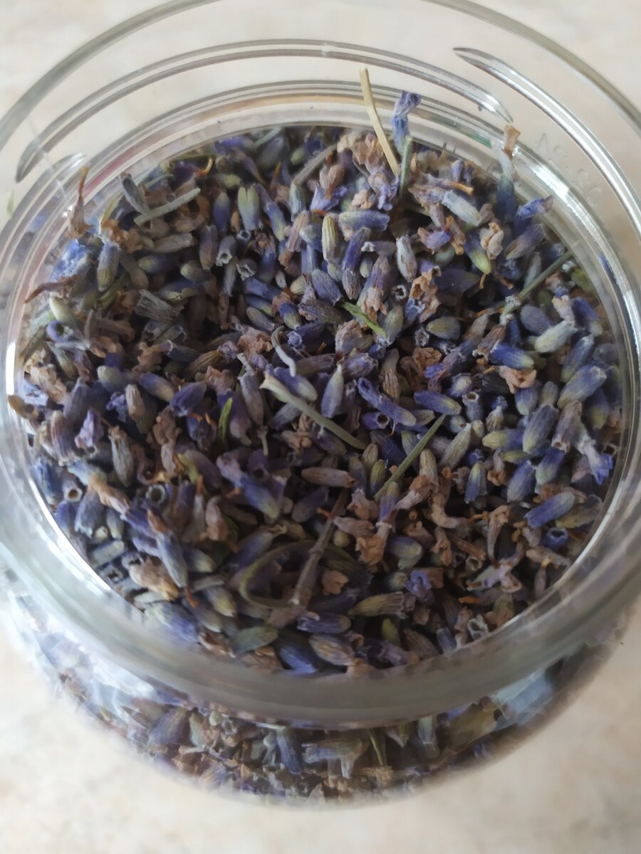 Мусора нет, никаких поторонних "элементов" тоже нет. Всё чистенько - одни цветочки. 