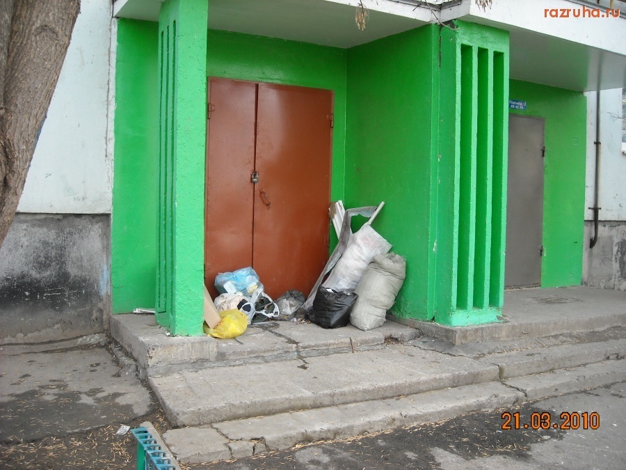 Фото из свободных источников сети интернет