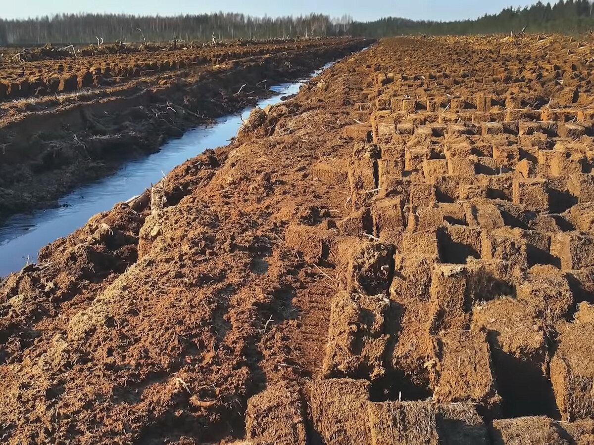 8000 человек не послушались запрета и построили себе дома. Теперь это самый  красивый посёлок страны: вся соль, где он стоит | Стеклянная сказка | Дзен