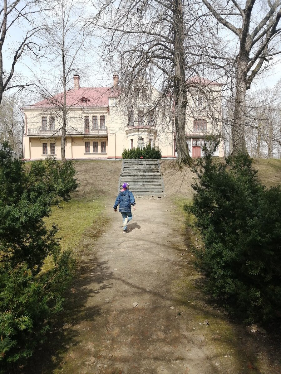 Музей Ковалевской