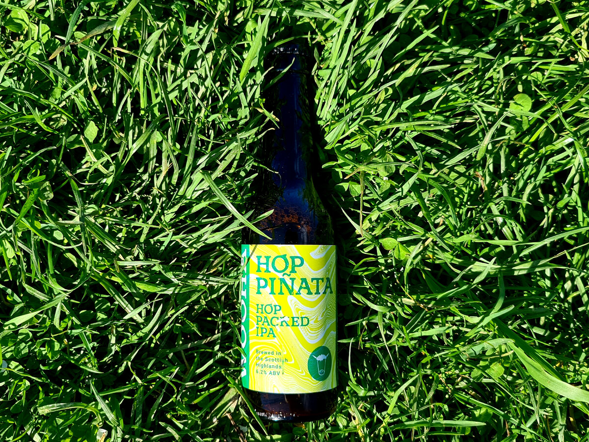 Wooha Hop Pinata IPA, фото автора