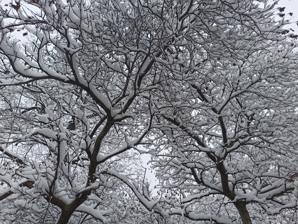 Фото для настроения. По дороге на работу 