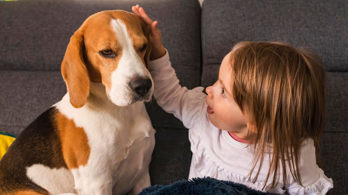 Ребёнок с собакой 