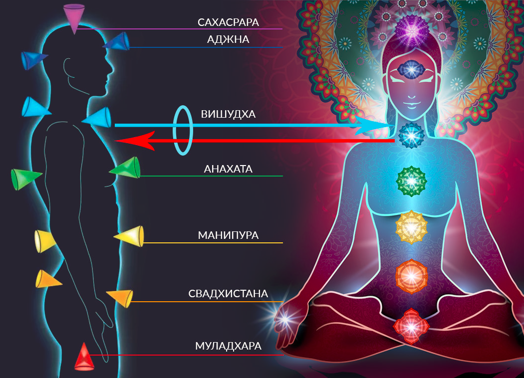 Фото взято из открытого источника интернета 