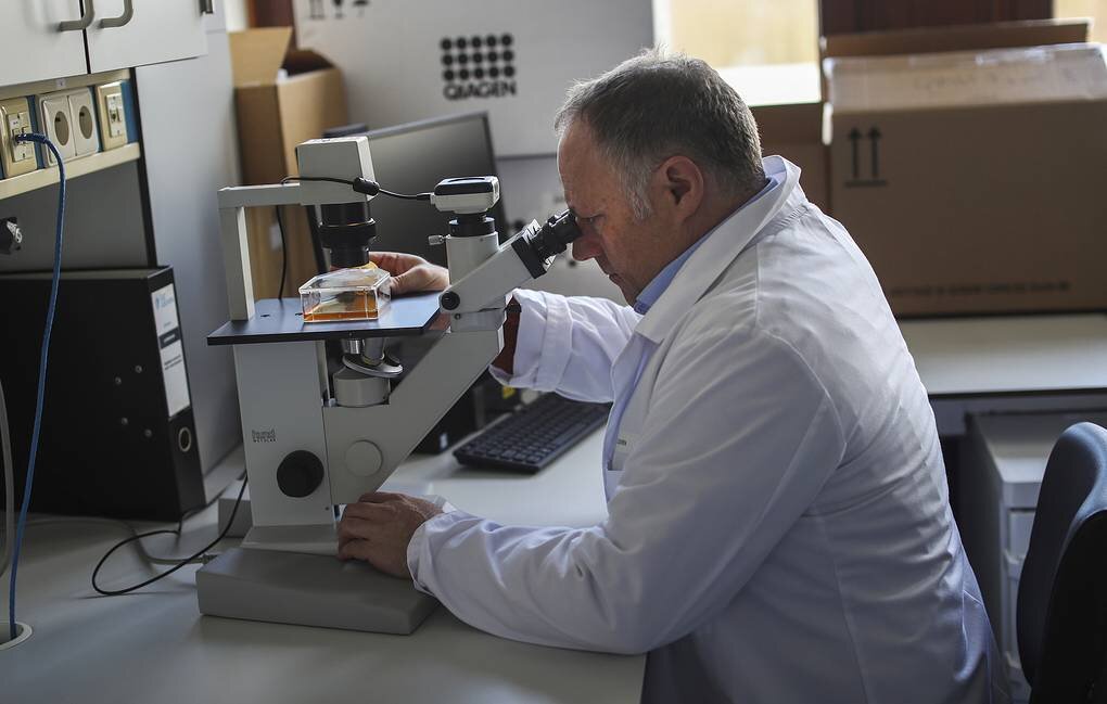 © AP Photo/Francisco Seco 