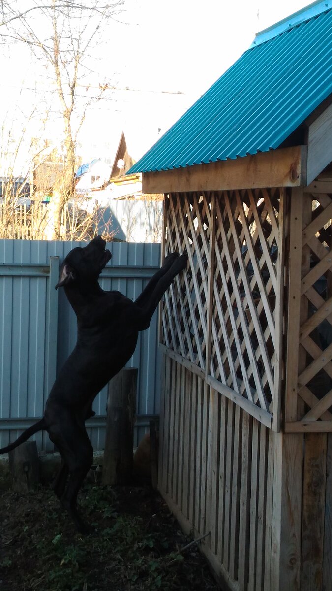 Мой не забытый друг.