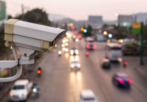    Фото: sterhluki.ru Юлия Карягина