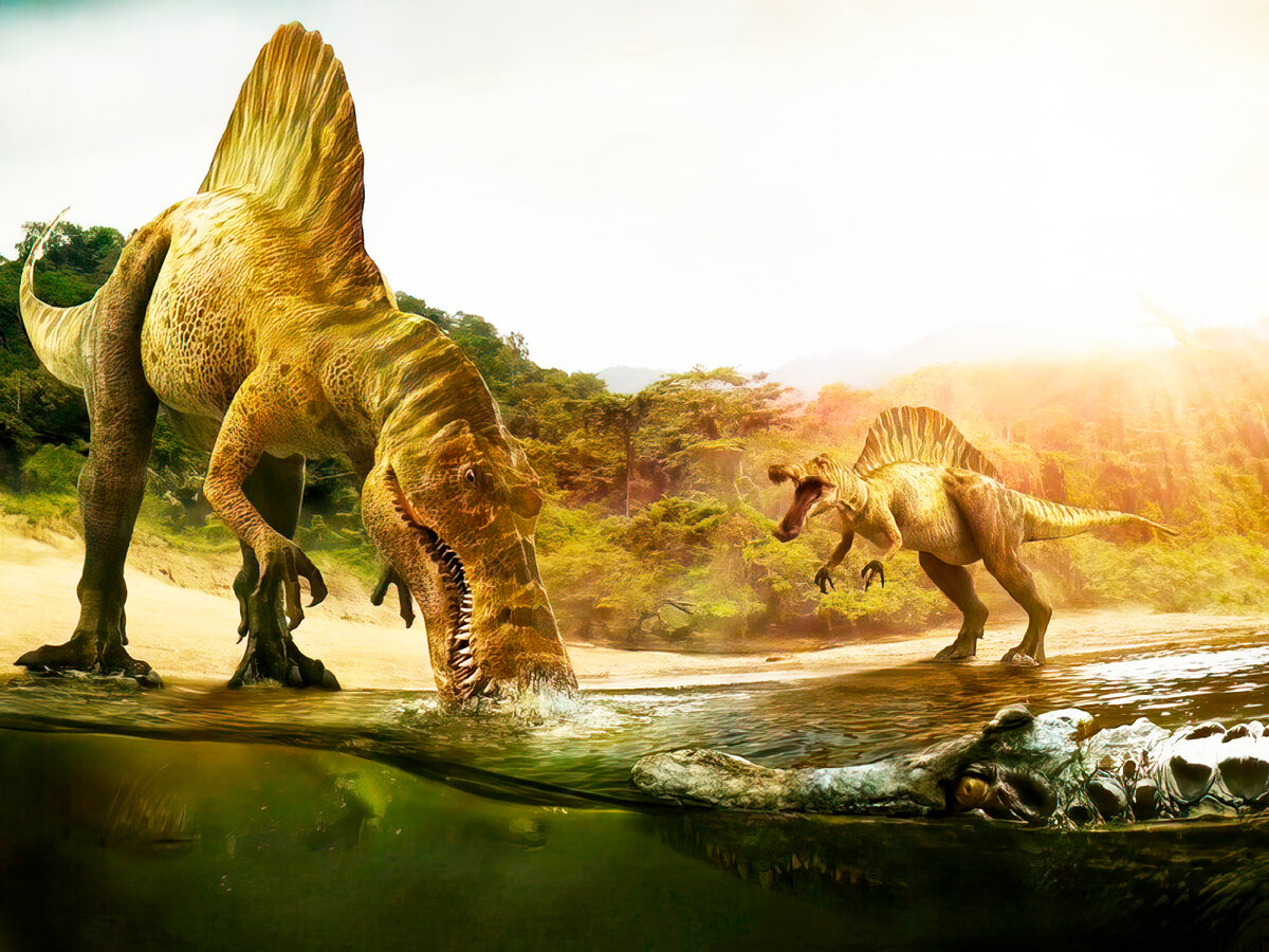 Спинозавр. Крупнейший загадочный хищный динозавр. Интересные факты про динозавра