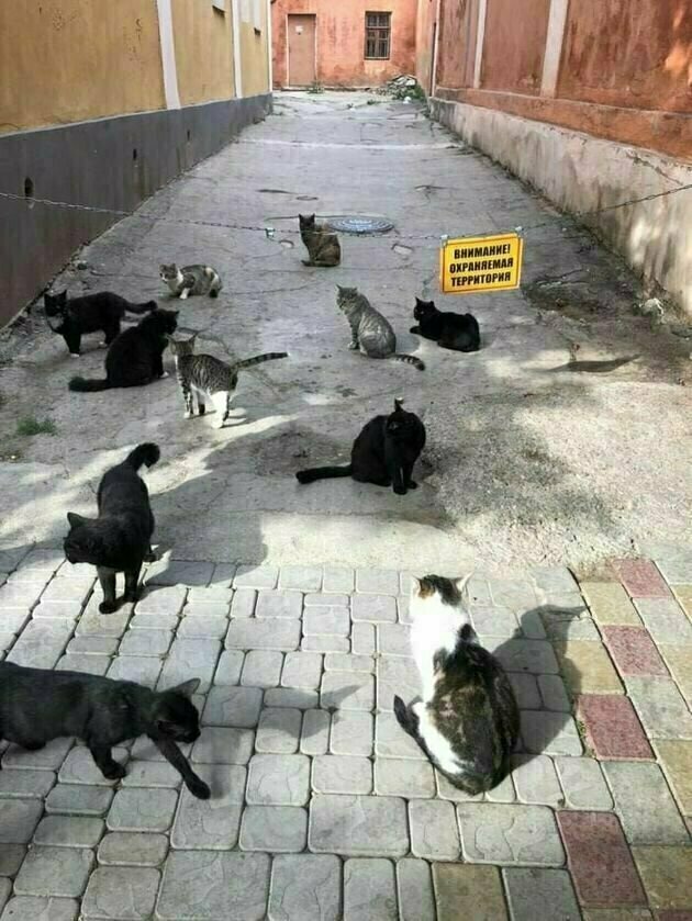 Посмеялся сам - поделись с другом!!!