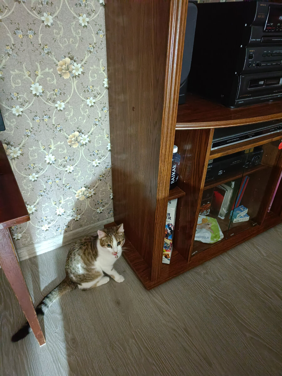 Да я тут мимо проходила...И какой такой вредитель приклеил заглушки?!